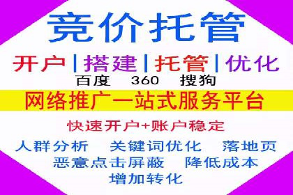 网站sem托管服务提供商的成功案例分析